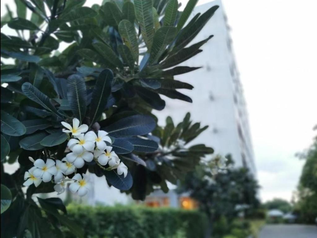The Park Hotel Pattaja Kültér fotó